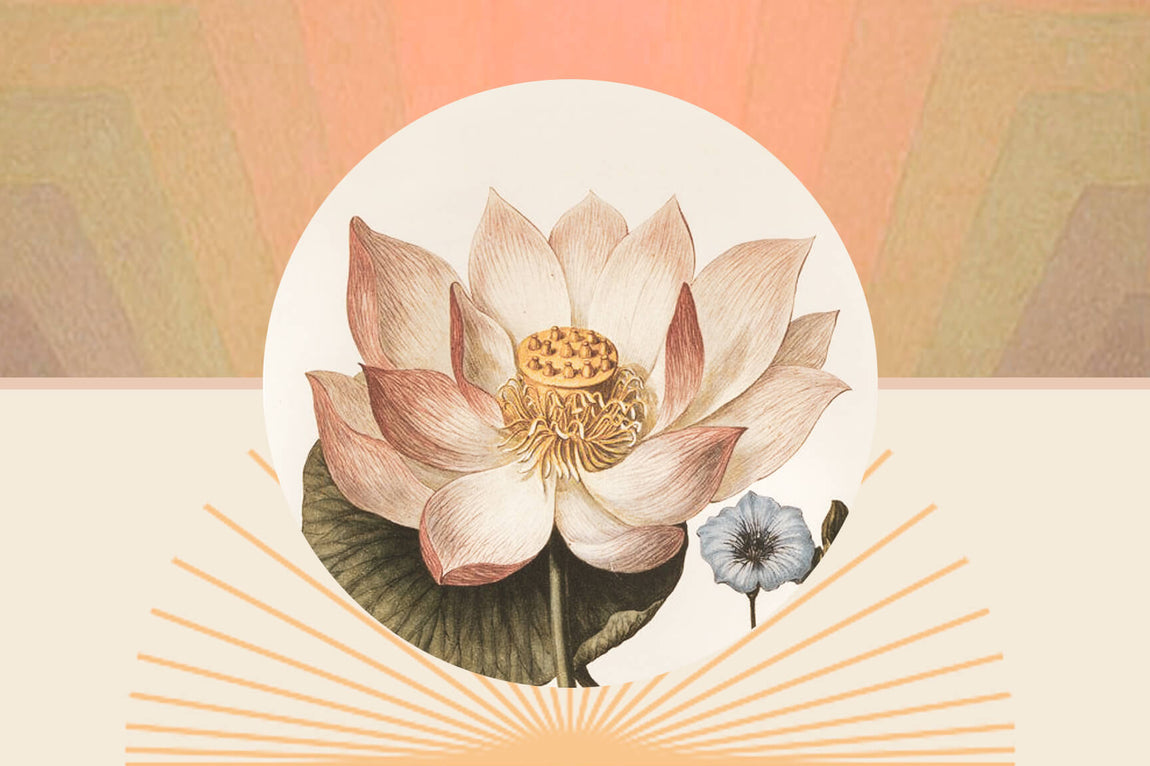 No Mud, No Lotus: The Surprising Gifts From Struggle