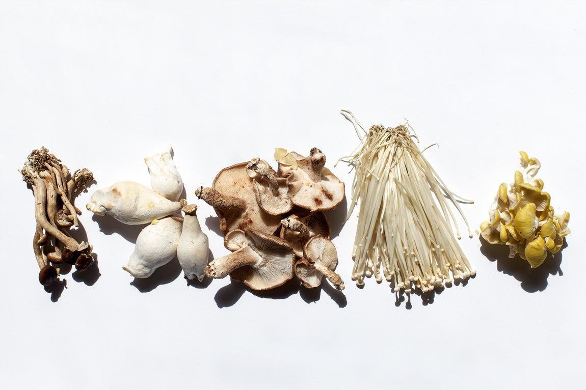 The 411 on Medicinal Mushrooms