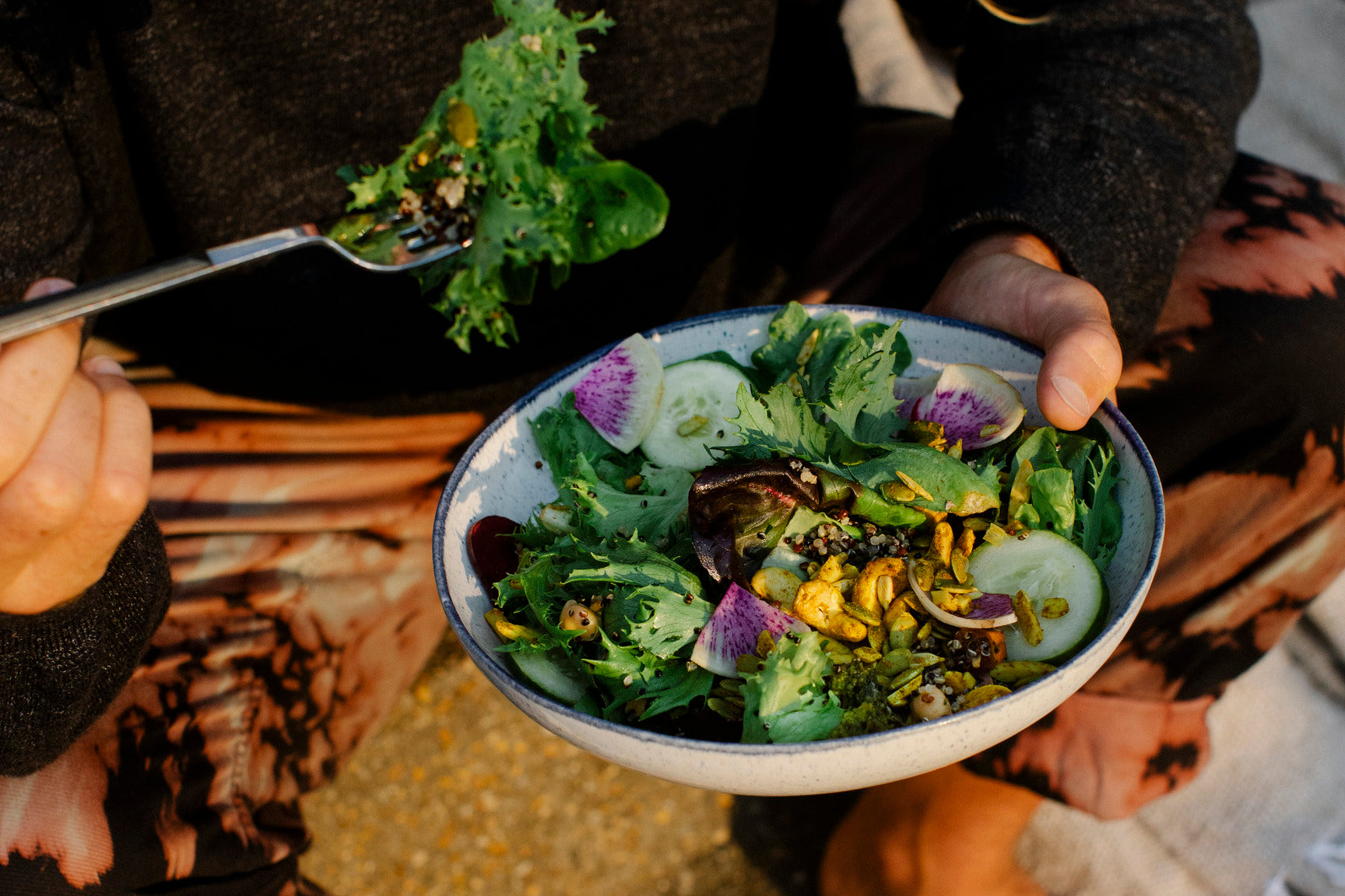 The Plant Protein Plan