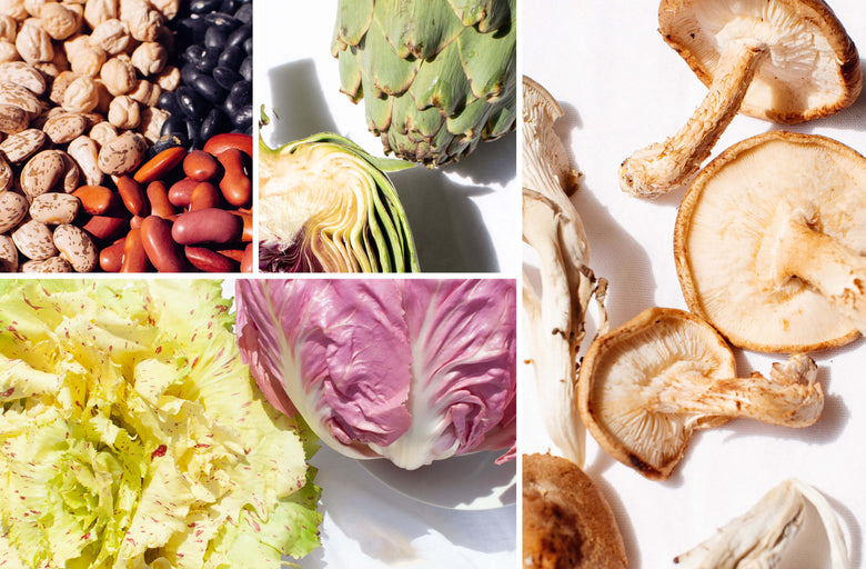 Protein and Longevity