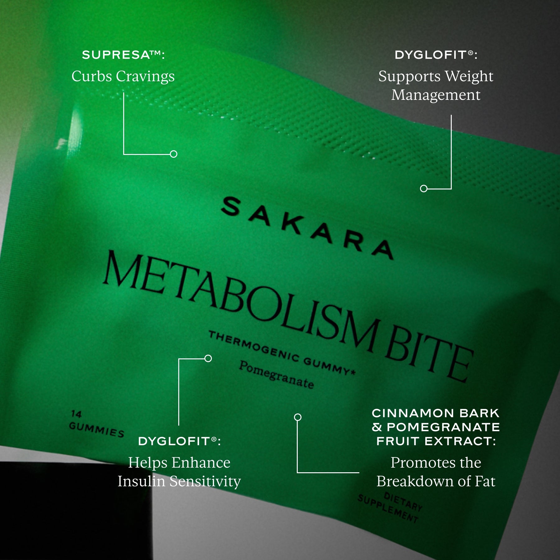 Master Your Metabolism Bundle - Master Your Metabolism Bundle