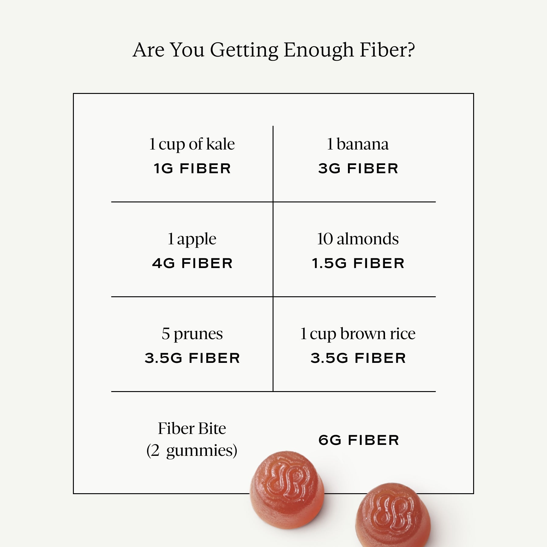 Fiber Bite - Fiber Bite