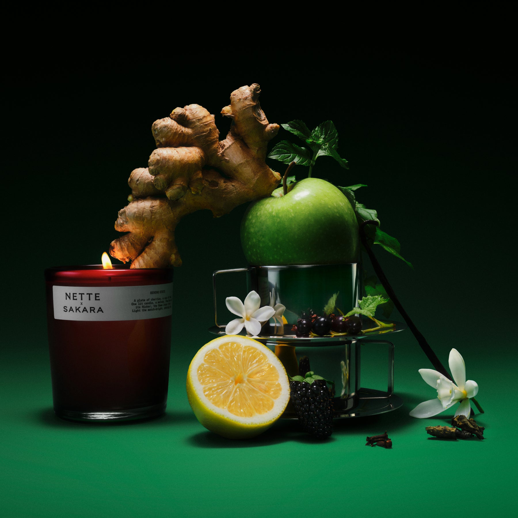 The Serenity Duo - The Serenity Duo